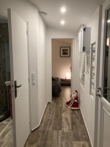 Appartement Mozart Straßburg Exterior foto
